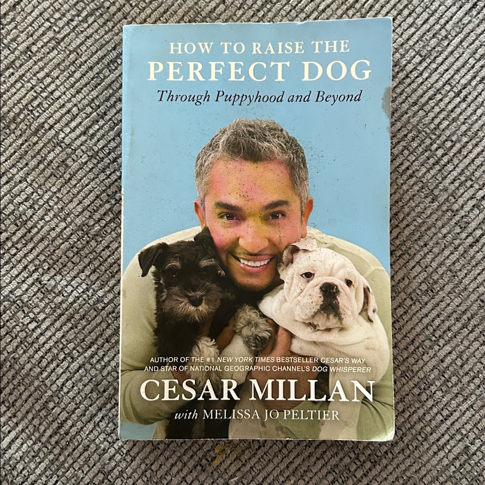 Cesar Millan book How to Raise the Perfect Dog puppyhood and beyond paperback
